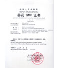 GMP certificate scanned copy of the